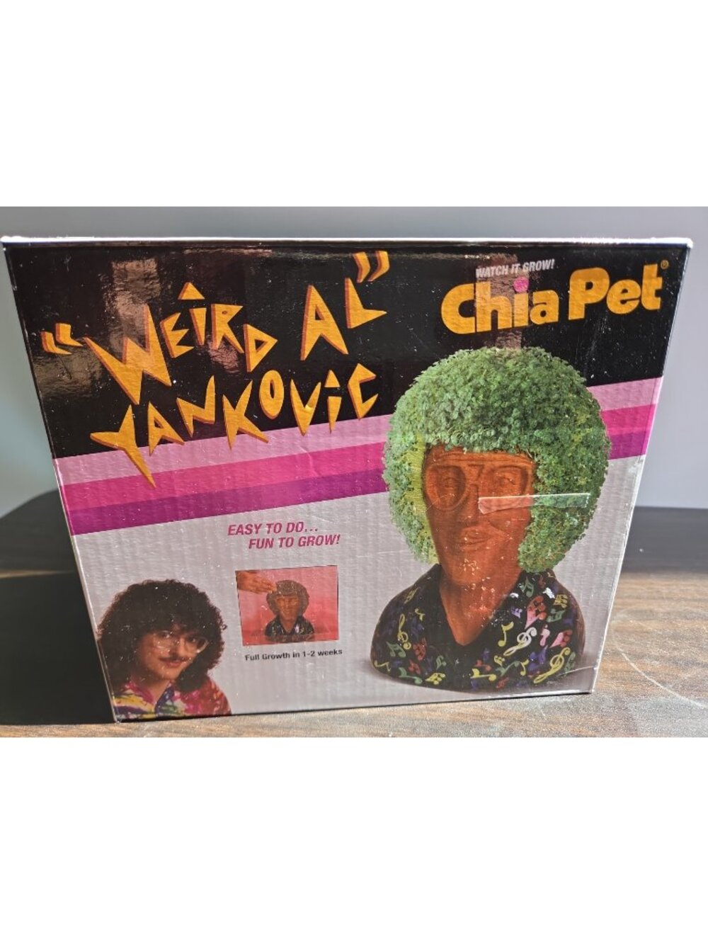 Weird Al Yankovic Chia Pet Complete With Box Collectible Gift Brand New In Box